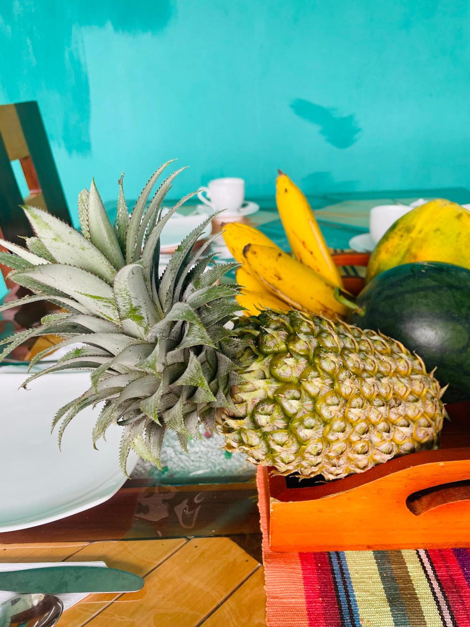 Little paradise Homestay Ella Esterno foto